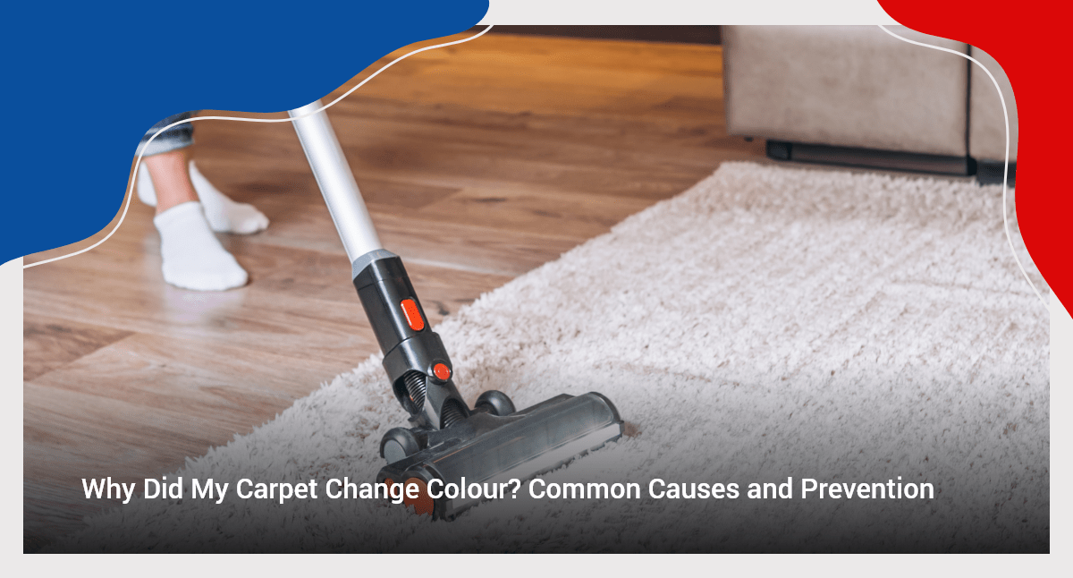 Why Did My Carpet Change Colour Common Causes And Prevention Boas