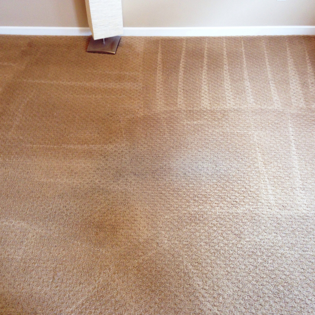 Clean Carpets for Longer Lifespan