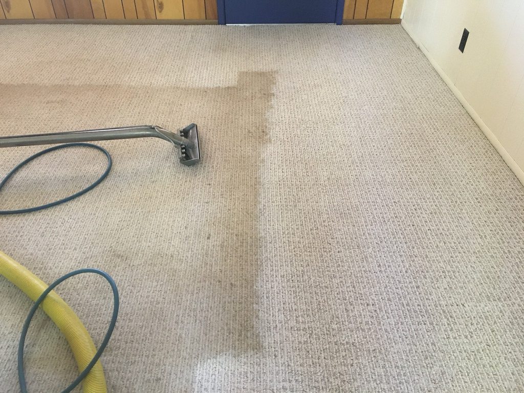 Steam Cleaned Carpets
