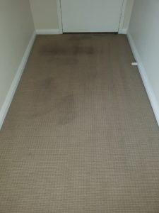 Finished carpet cleaning job in Perth, WA