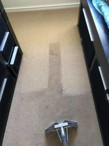 Cleaning office floor carpets