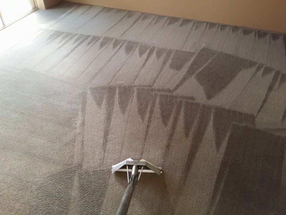 Finished Carpet Cleaning Job By Boas