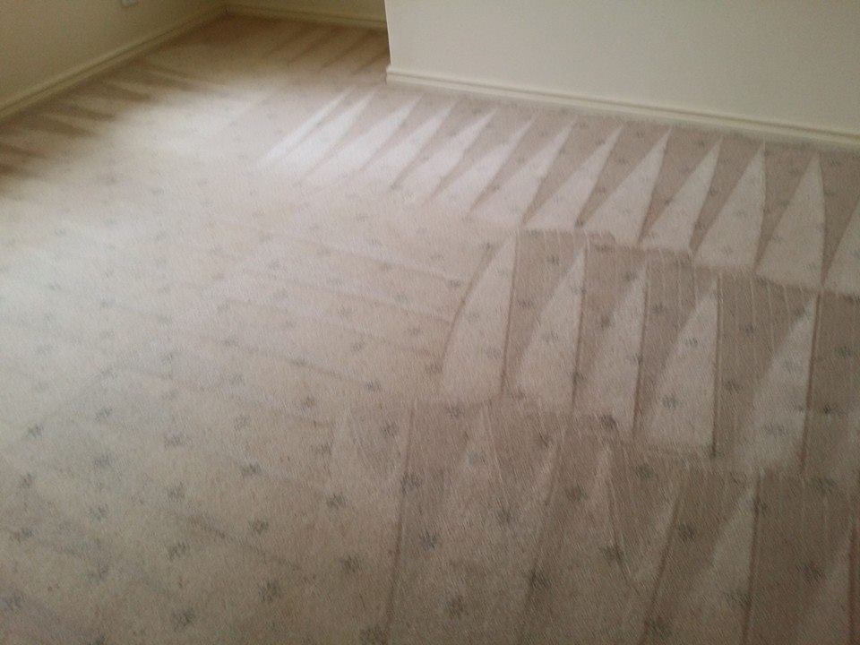 carpet cleaning in residential property perth