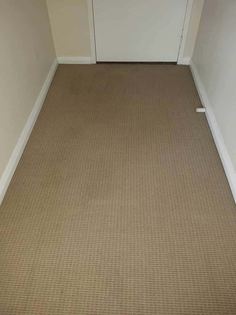 Residential property carpet cleaning in Perth