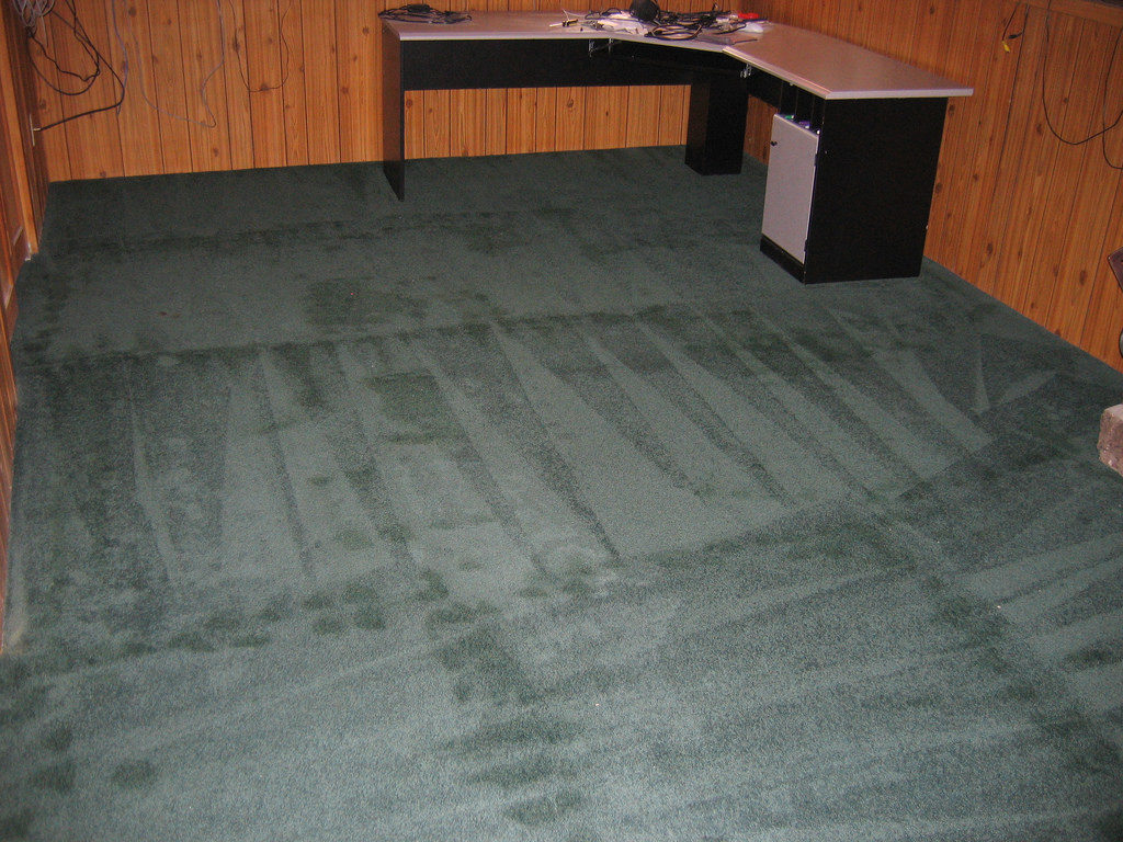 Result of a professional carpet clean