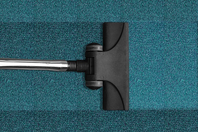 Professional Carpet Cleaning
