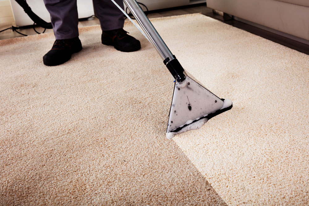 How Long Does It Take Carpets To Dry After Cleaning  