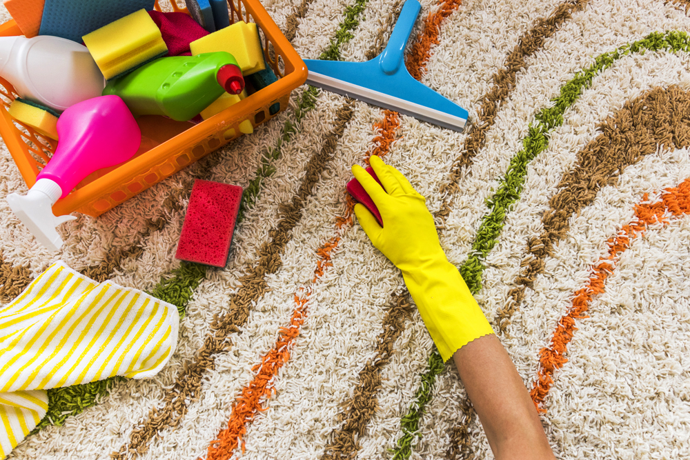 Eliminate Strong Odours in Your Carpet
