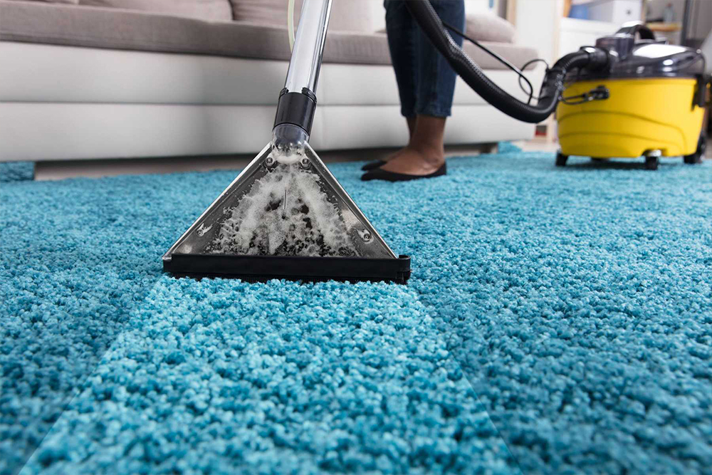 Professional Carpet Cleaning