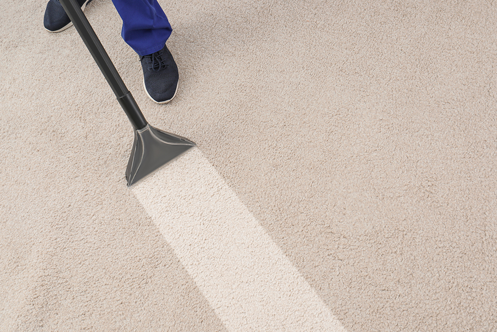 Carpet Cleaning