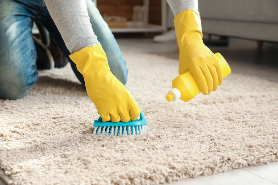 The Complete Guide to Cleaning a Carpet BOAS Cleaning Services