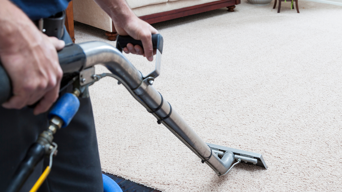 The Top 5 Most Effective Carpet Cleaning Methods BOAS Cleaning Services