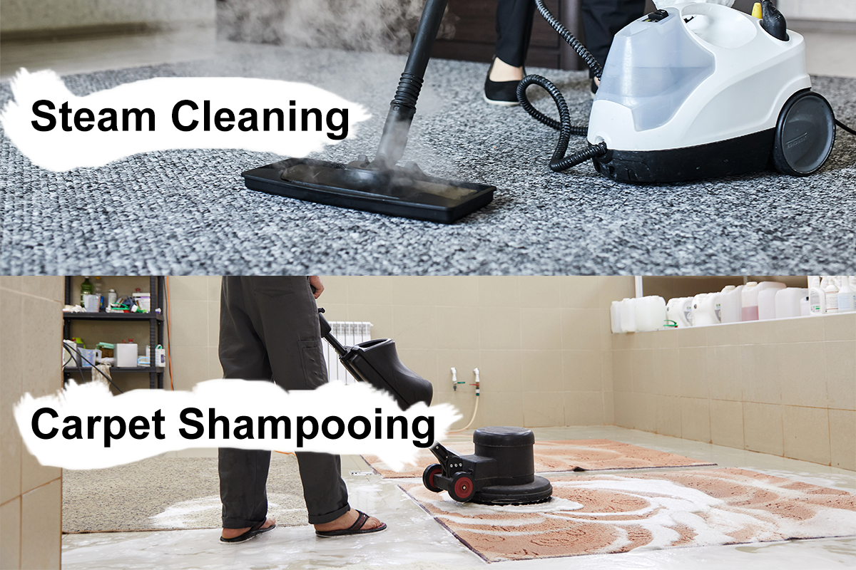 How to Shampoo a Carpet