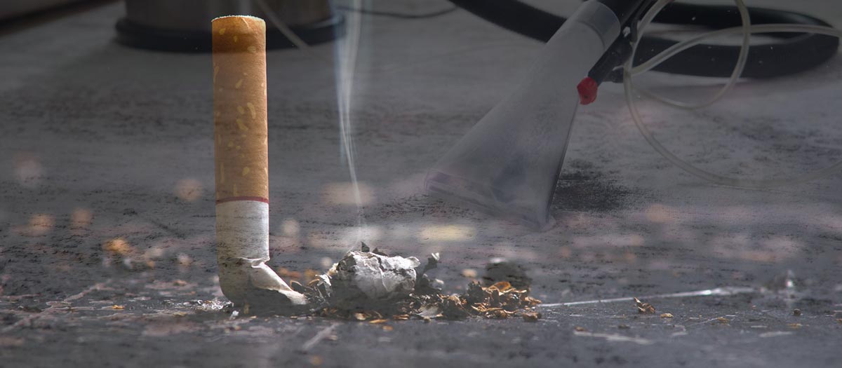 Will having a professional clean your carpet get rid of the smell of