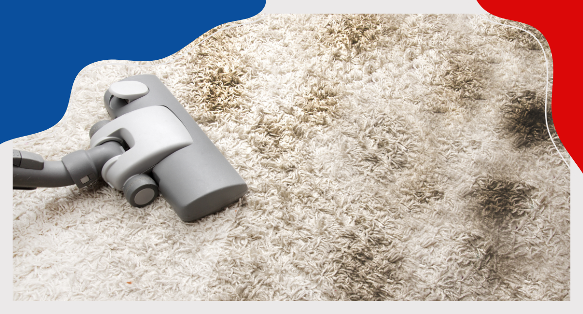 Dirt in your carpets What are the impacts? BOAS Cleaning Services