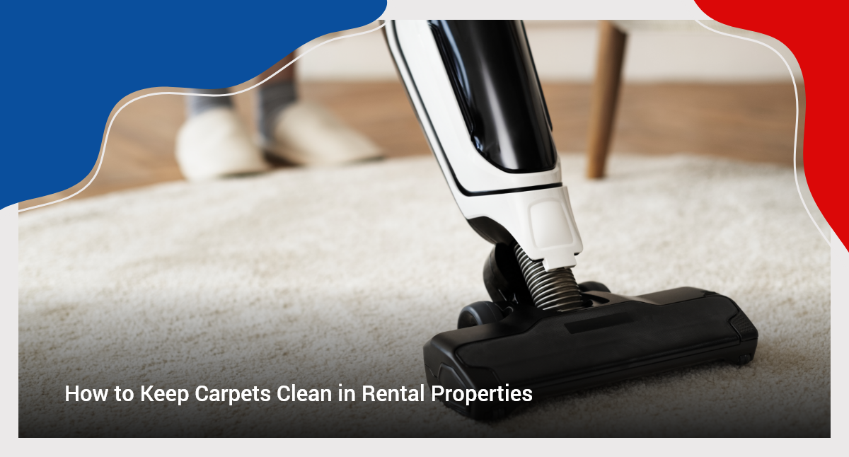 How to keep carpets clean in rental properties BOAS Cleaning Services