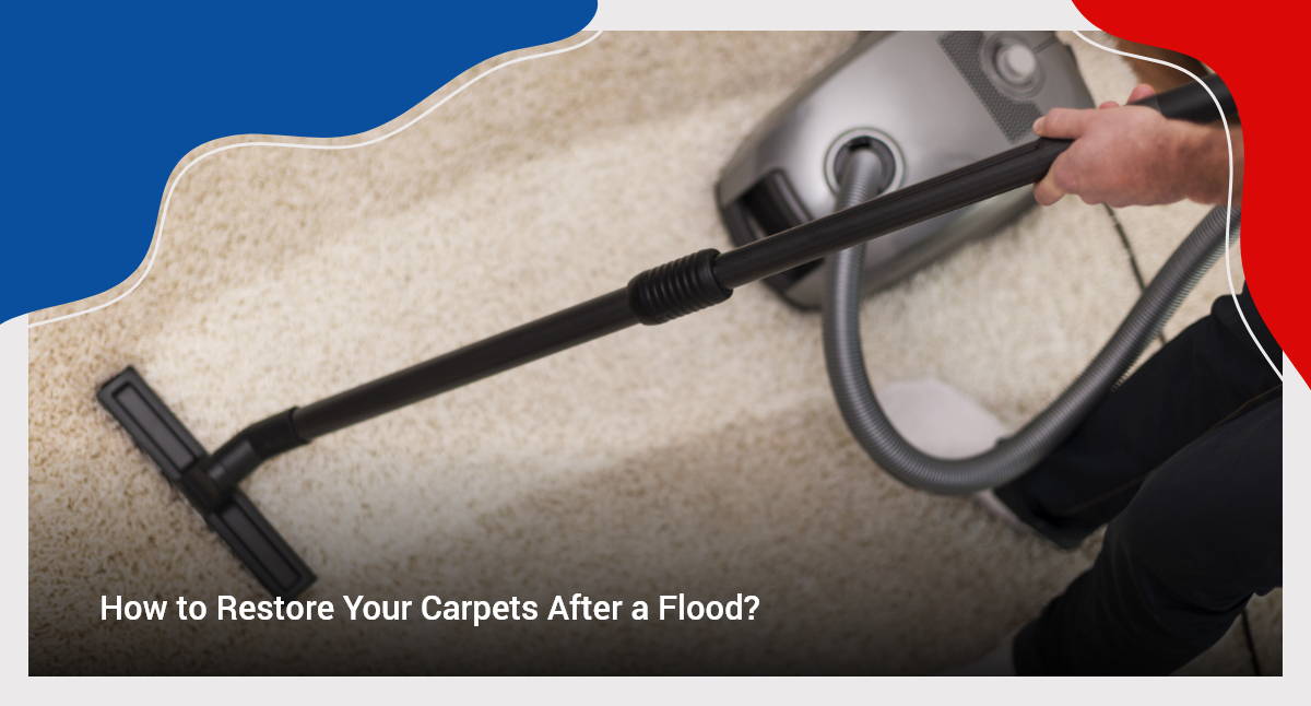 How to restore your carpets after a flood? BOAS Cleaning Services