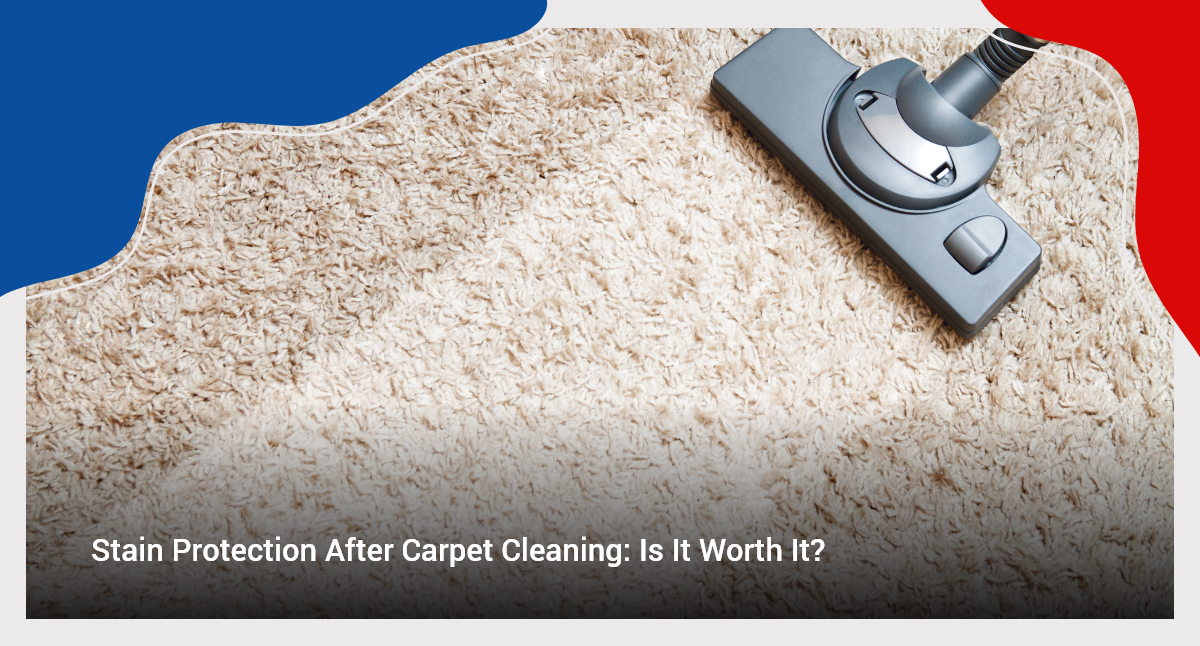 Stain Protection After Carpet Cleaning Is It Worth It? BOAS Cleaning